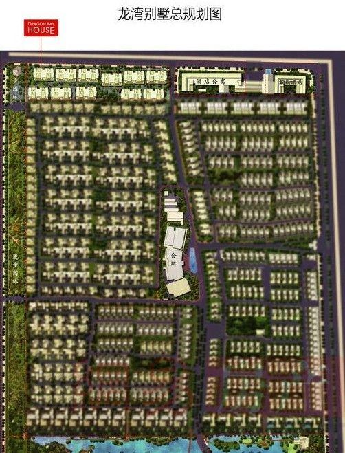 紅姐圖庫：免費彩圖全面規劃，OIX77.876社區版全新亮相