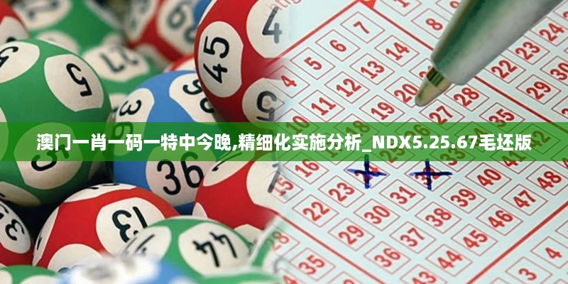 澳門(mén)一肖一碼一特中今晚,精細化實(shí)施分析_NDX5.25.67毛坯版