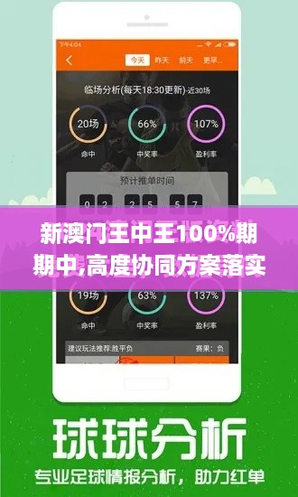 新澳門(mén)王中王100%期期中,高度協(xié)同方案落實(shí)_FBQ4.18.75原型版