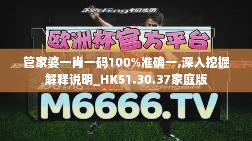 管家婆一肖一碼100%準確一,深入挖掘解釋說(shuō)明_HKS1.30.37家庭版