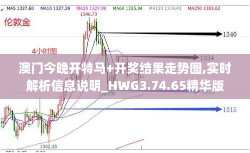 澳門(mén)今晚開(kāi)特馬+開(kāi)獎結果走勢圖,實(shí)時(shí)解析信息說(shuō)明_HWG3.74.65精華版