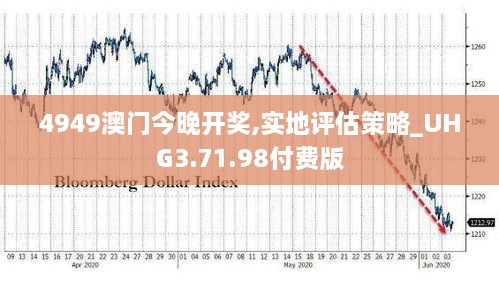 4949澳門(mén)今晚開(kāi)獎,實(shí)地評估策略_UHG3.71.98付費版