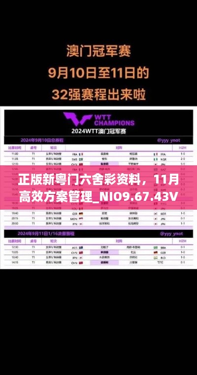 正版新粵門(mén)六舍彩資料，11月高效方案管理_NIO9.67.43VR版