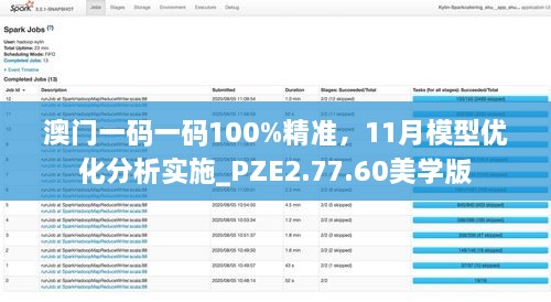 澳門(mén)一碼一碼100%精準，11月模型優(yōu)化分析實(shí)施_PZE2.77.60美學(xué)版
