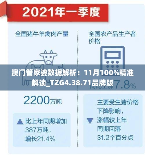 澳門(mén)管家婆數據解析：11月100%精準解讀_TZG4.38.71品牌版