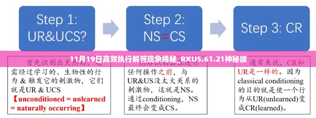 11月19日高效執行解答現象揭秘_RXU5.61.21神秘版