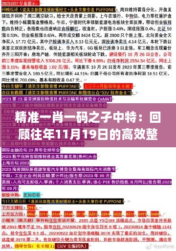 精準一肖一碼之孑中特：回顧往年11月19日的高效整合方案執行_GBF6.64.24神念境