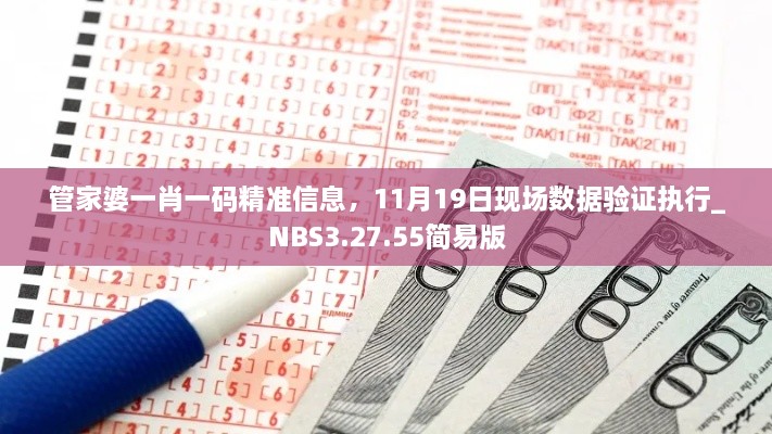 管家婆一肖一碼精準信息，11月19日現場(chǎng)數據驗證執行_NBS3.27.55簡(jiǎn)易版