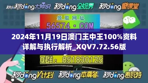 2024年11月19日澳門(mén)王中王100%資料詳解與執行解析_XQV7.72.56版
