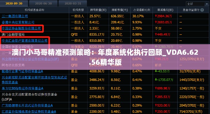 澳門(mén)小馬哥精準預測策略：年度系統化執行回顧_VDA6.62.56精華版