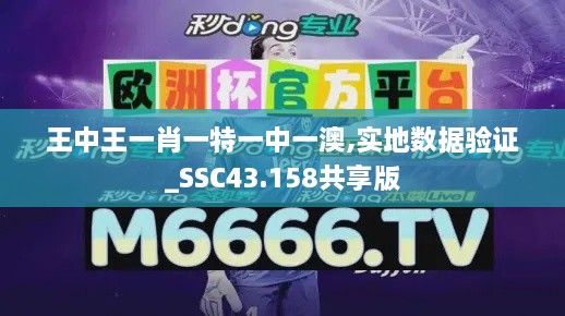 王中王一肖一特一中一澳,實(shí)地數據驗證_SSC43.158共享版