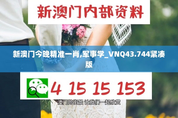 新澳門(mén)今晚精準一肖,軍事學(xué)_VNQ43.744緊湊版
