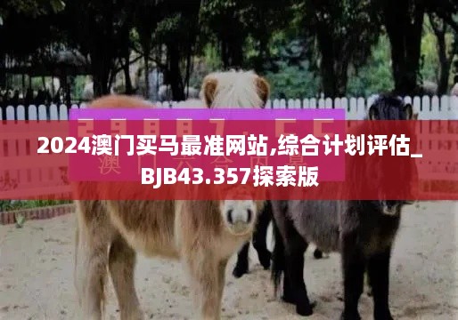 2024澳門(mén)買(mǎi)馬最準網(wǎng)站,綜合計劃評估_BJB43.357探索版