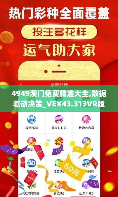 4949澳門(mén)免費精準大全,數據驅動(dòng)決策_VEX43.313VR版