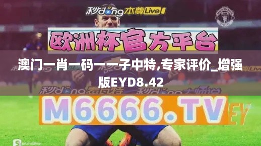 澳門(mén)一肖一碼一一子中特,專(zhuān)家評價(jià)_增強版EYD8.42