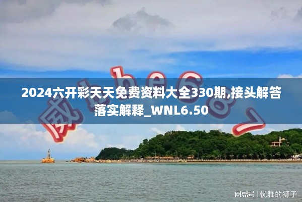 2024六開(kāi)彩天天免費資料大全330期,接頭解答落實(shí)解釋_WNL6.50