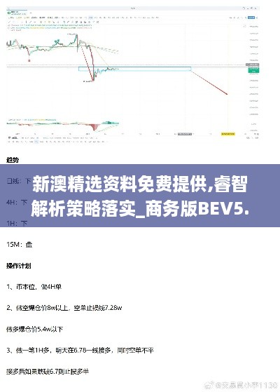 新澳精選資料免費提供,睿智解析策略落實(shí)_商務(wù)版BEV5.33