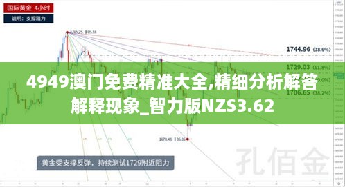 4949澳門(mén)免費精準大全,精細分析解答解釋現象_智力版NZS3.62