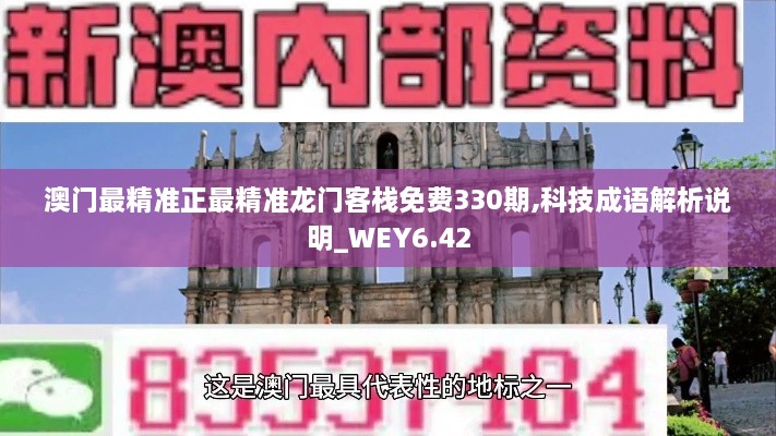 澳門(mén)最精準正最精準龍門(mén)客棧免費330期,科技成語(yǔ)解析說(shuō)明_WEY6.42