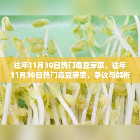 往年11月30日熱門(mén)毒豆芽菜爭議解析與回顧