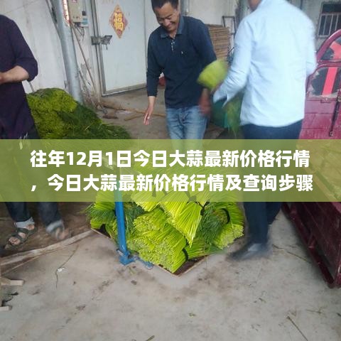 今日大蒜最新價(jià)格行情詳解及查詢(xún)指南（初學(xué)者與進(jìn)階用戶(hù)必備）