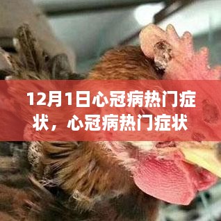 心冠病熱門(mén)癥狀深度解析，背景、事件與影響（最新更新）