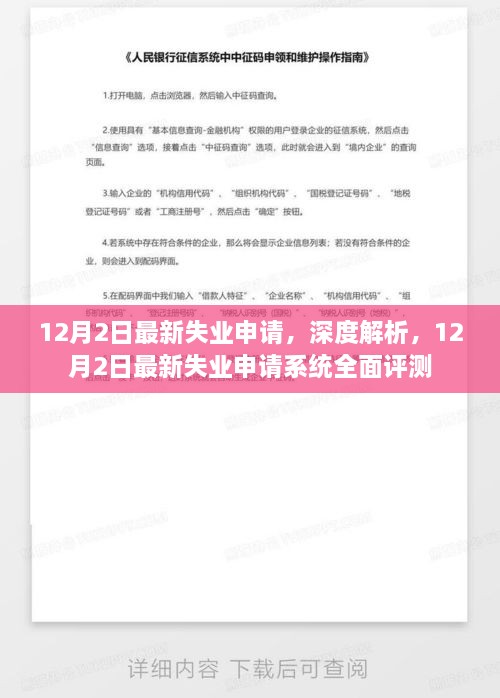 深度解析，最新失業(yè)申請系統評測報告（最新數據截至12月2日）