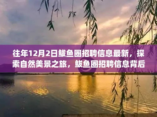 揭秘鲅魚(yú)圈招聘信息背后的自然美景之旅，寧靜秘境等你來(lái)探索