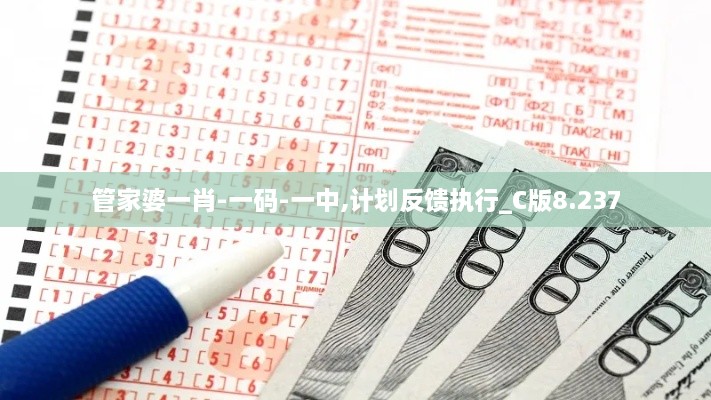 管家婆一肖-一碼-一中,計劃反饋執行_C版8.237