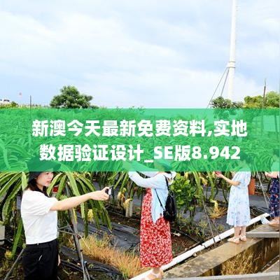 新澳今天最新免費資料,實(shí)地數據驗證設計_SE版8.942