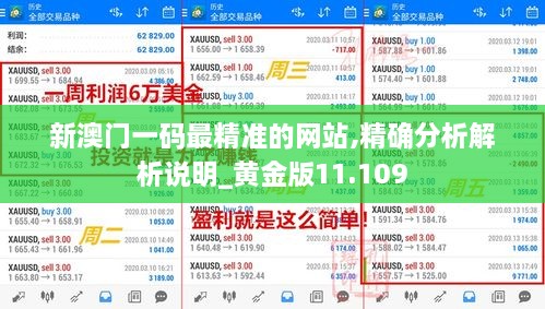 新澳門(mén)一碼最精準的網(wǎng)站,精確分析解析說(shuō)明_黃金版11.109