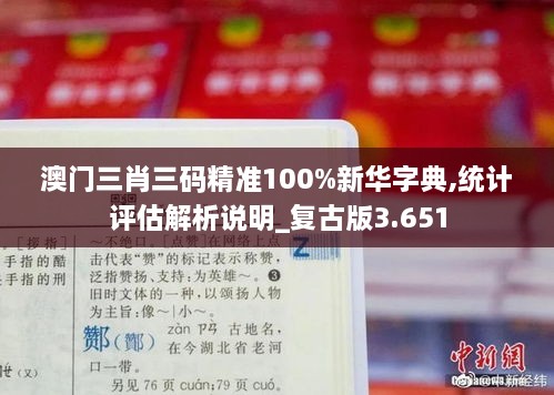 澳門(mén)三肖三碼精準100%新華字典,統計評估解析說(shuō)明_復古版3.651
