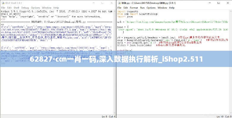 62827·c㎝一肖一碼,深入數據執行解析_iShop2.511