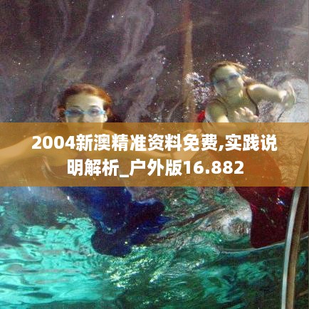 2004新澳精準資料免費,實(shí)踐說(shuō)明解析_戶(hù)外版16.882