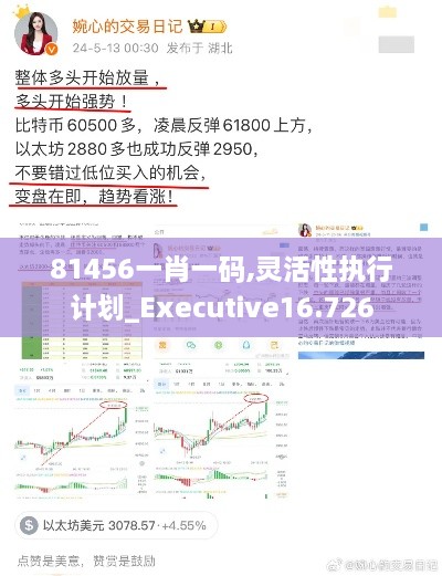 81456一肖一碼,靈活性執行計劃_Executive16.726
