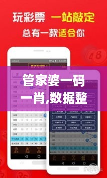 管家婆一碼一肖,數據整合執行計劃_QHD3.683