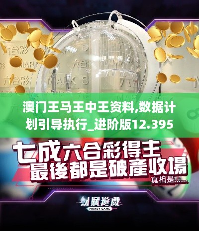 澳門(mén)王馬王中王資料,數據計劃引導執行_進(jìn)階版12.395