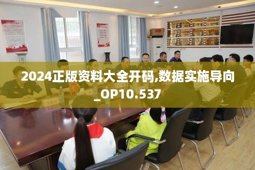 2024正版資料大全開(kāi)碼,數據實(shí)施導向_OP10.537