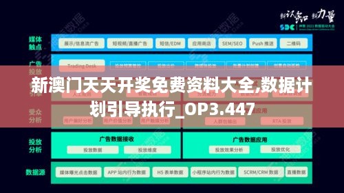 新澳門(mén)天天開(kāi)獎免費資料大全,數據計劃引導執行_OP3.447
