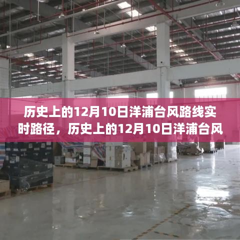 揭秘洋浦臺風(fēng)路徑，歷史軌跡與防御策略探索