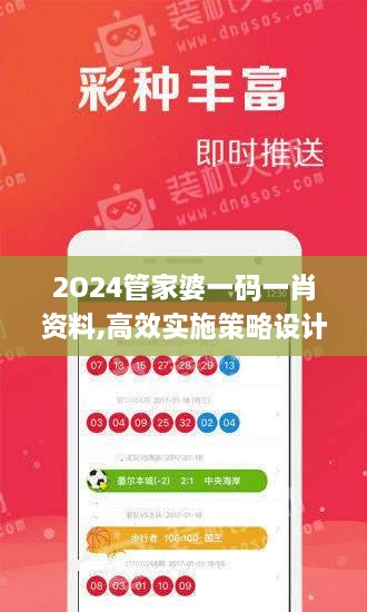 2O24管家婆一碼一肖資料,高效實(shí)施策略設計_9DM1.998