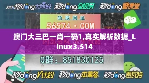 澳門(mén)大三巴一肖一碼1,真實(shí)解析數據_Linux3.514