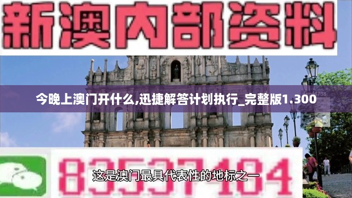 今晚上澳門(mén)開(kāi)什么,迅捷解答計劃執行_完整版1.300