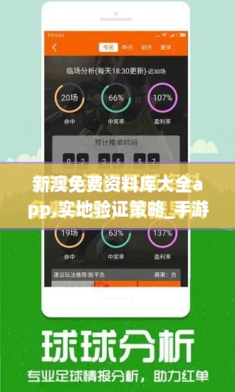 新澳免費資料庫大全app,實(shí)地驗證策略_手游版9.438