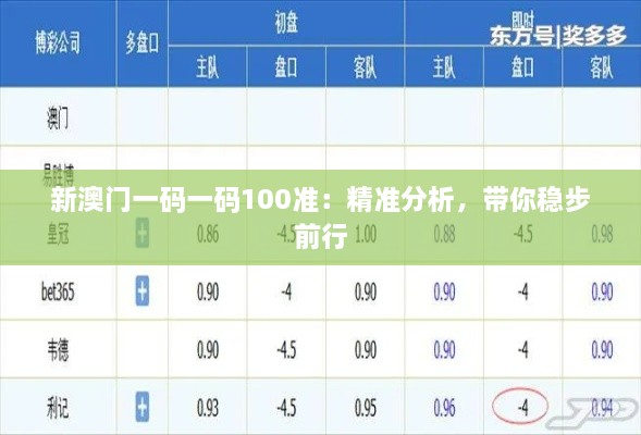 新澳門(mén)一碼一碼100準：精準分析，帶你穩步前行