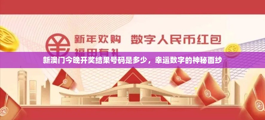 新澳門(mén)今晚開(kāi)獎結果號碼是多少，幸運數字的神秘面紗