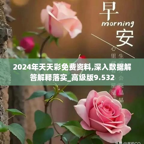 2024年天天彩免費資料,深入數據解答解釋落實(shí)_高級版9.532