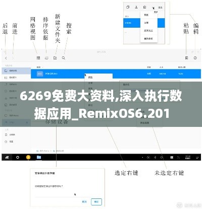 6269免費大資料,深入執行數據應用_RemixOS6.201