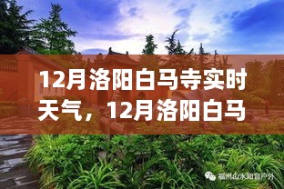 從獨特視角看12月洛陽(yáng)白馬寺實(shí)時(shí)天氣與深度分析