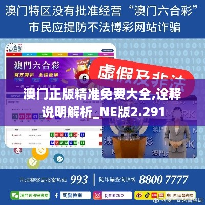 澳門(mén)正版精準免費大全,詮釋說(shuō)明解析_NE版2.291